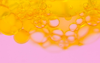 350x220_vorschaubild_topp_inpiration_schnupperkurs