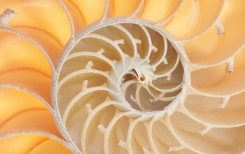 350x220_vorschaubild_topp_inpiration_numerologie_01