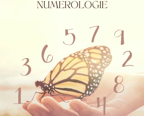 Erkenne über die Numerologie deine Potentiale & deinen Seelenweg. Verstehe besser, wie du und dein Umfeld ticken.